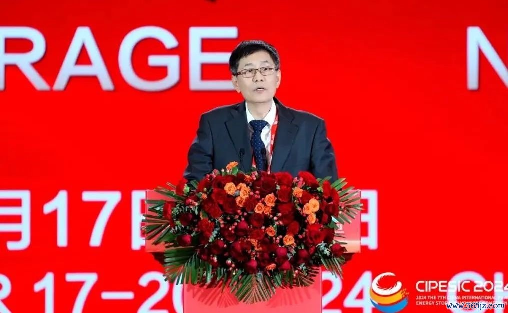 中国电力企业联合会党委委员专职副理事长安洪光致辞