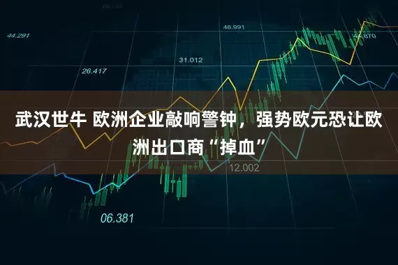 武汉世牛 欧洲企业敲响警钟，强势欧元恐让欧洲出口商“掉血”