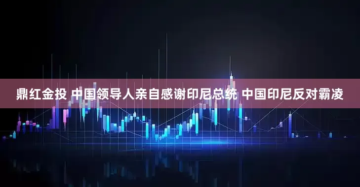 鼎红金投 中国领导人亲自感谢印尼总统 中国印尼反对霸凌